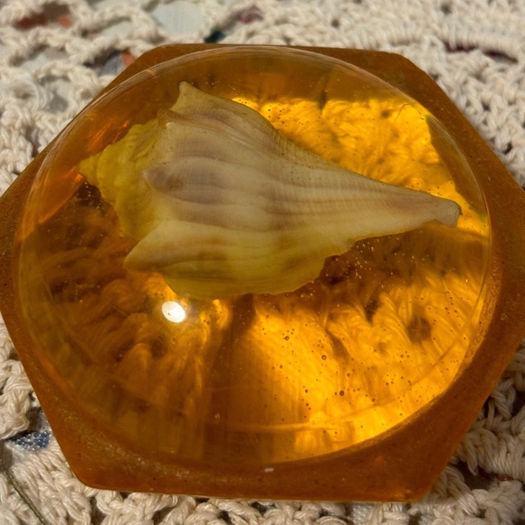 Vintage Seashells in Resin Paperweights - Picture 3 of 13
